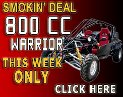800cc Warrior Go Kart For Sale
